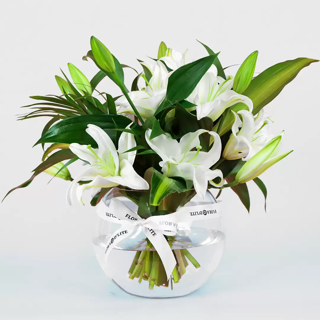 SOPHISTICATED LILIES