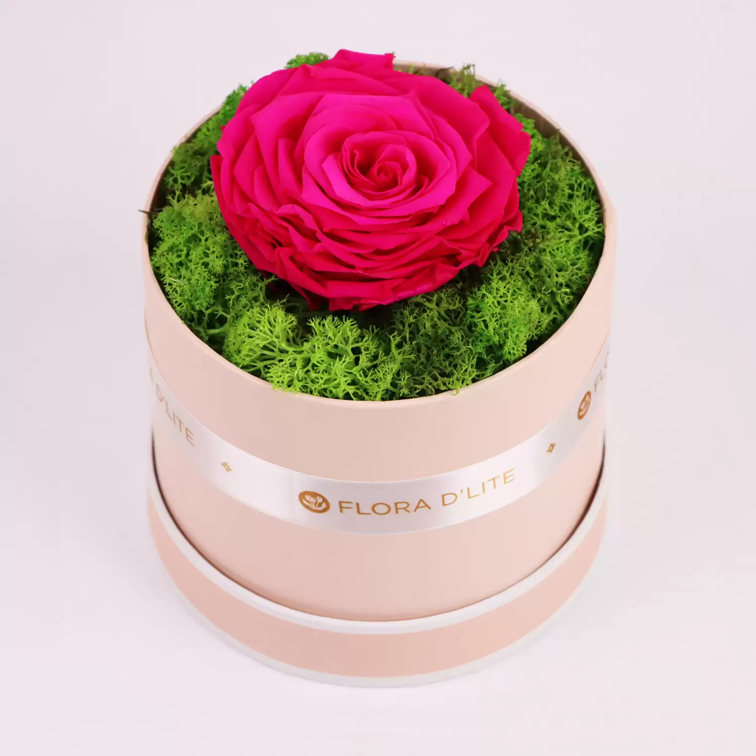 Jumbo Infinity Rose | Gift Jumbo Preserved Roses Online - Flora D'lite