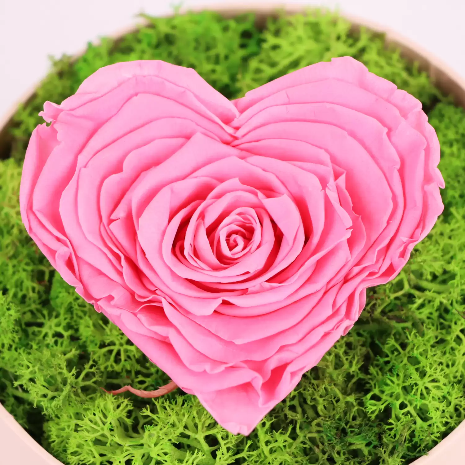 Heart Infinity Rose | Romantic Gifts For Her | Gifts Delivery Bahrain - Flora D'lite