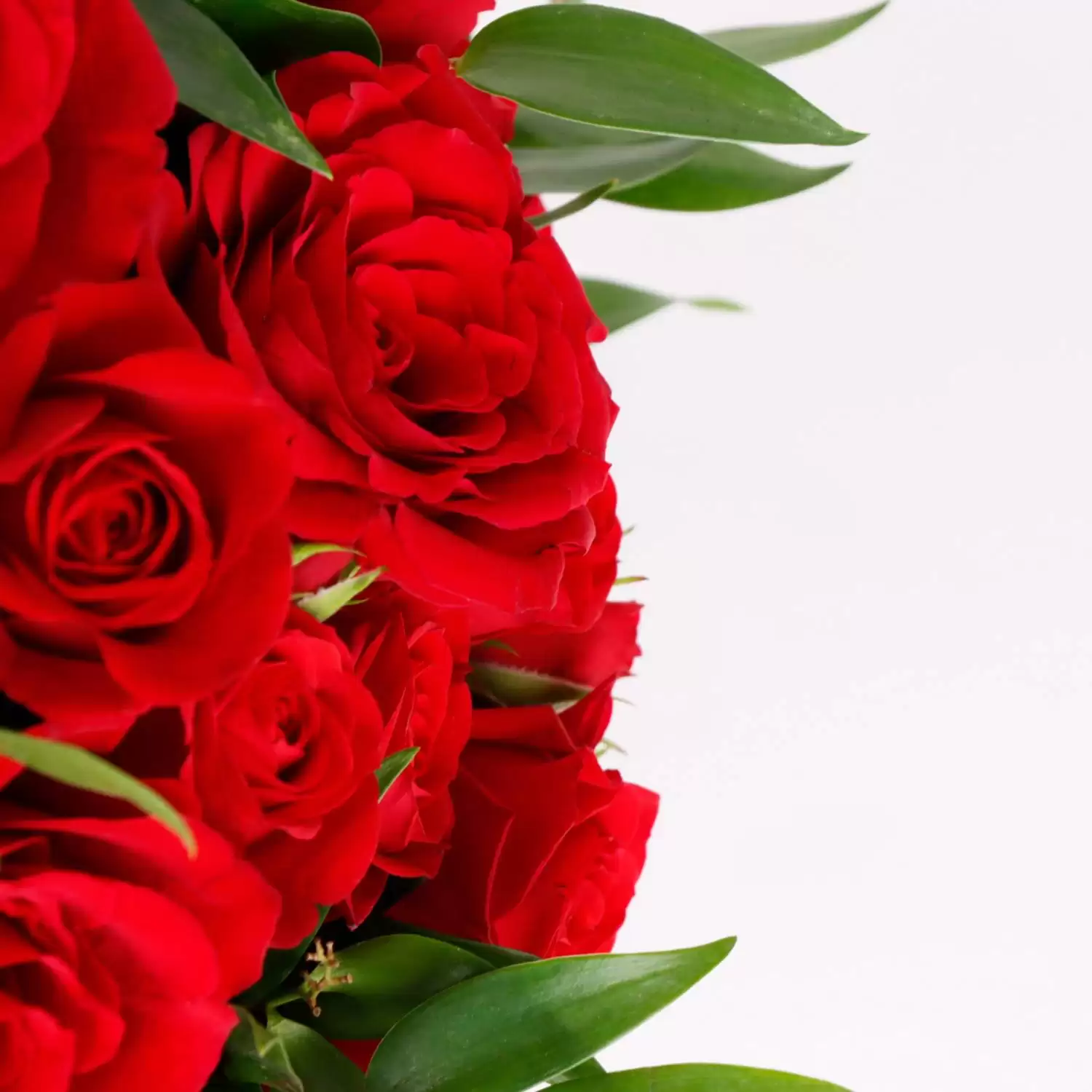 Luxury Rose Arrangement | Best Flowers Gift To Buy Online Bahrain - Flora D'lite